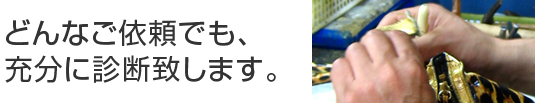 どんなご依頼でも充分に診断致します
